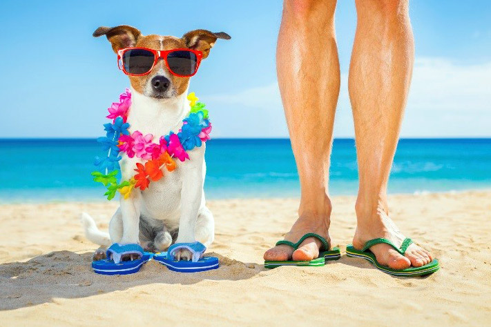 Beat The Summer Heat With These 8 Useful Tips