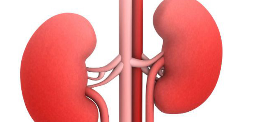 DO NOT NEGLECT YOUR KIDNEYS IF YOU HAVE DIABETES