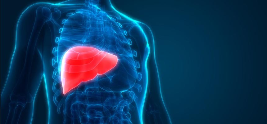 Magnetic Resonance Therapy aids in regeneration of liver cells and reduces the need for surgery