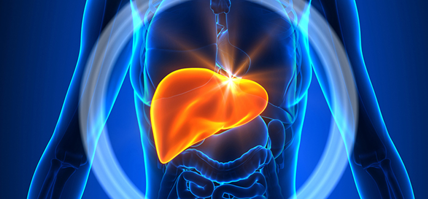 Fatty Liver Can Be A Silent Killer