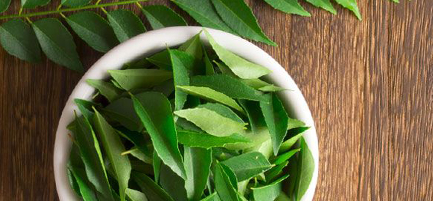 THE MANIFOLD BENEFITS OF CURRY LEAVES