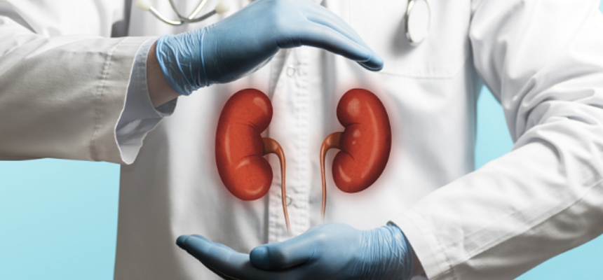 The Key factors of Kidney Transplant