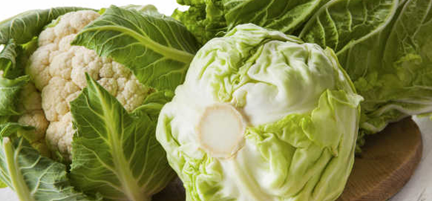The Health benefits of cabbage