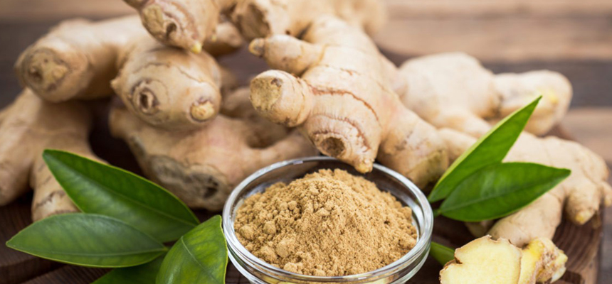 GINGER A POWER PACKED CONDIMENT