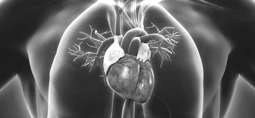 TYPES OF CARDIAC SURGERIES AND THEIR SIGNIFICANCE