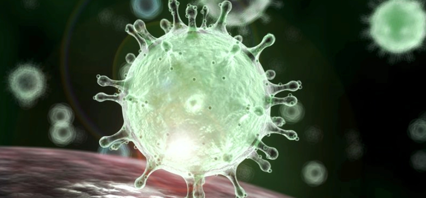 Safety is a Priority for Corona virus