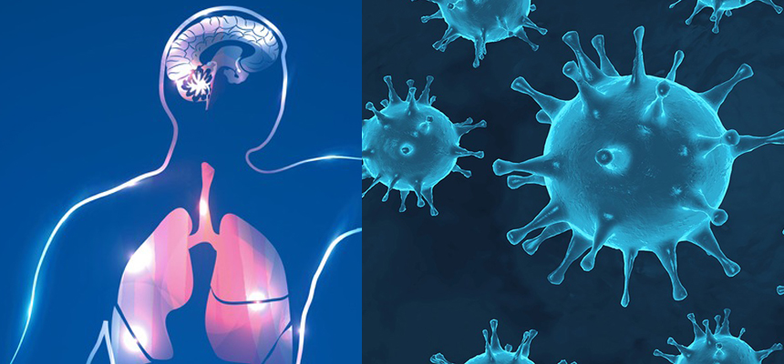 BEYOND LUNGS, COVID 19 CAN CAUSE DAMAGE THROUGHOUT THE BODY