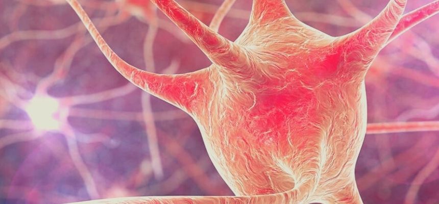 Types, Causes, Symptoms and Treatment of Motor Neuron Disease