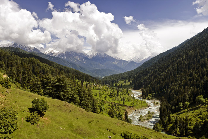 The Medicine Man Of Kashmir