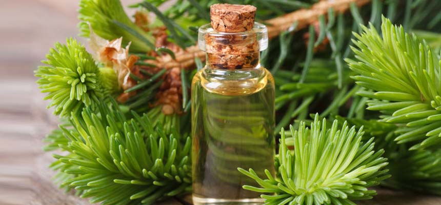 Use Cypress oil to enhance health and beauty !