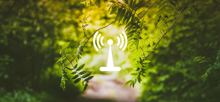 Is Wi-Fi safe?