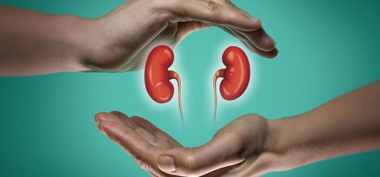 KIDNEY HEALTH FOR ALL 2022 ITS TIME TO TAKE ACTION
