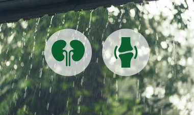 A Steep Rise In Renal And Joint problems During Monsoon