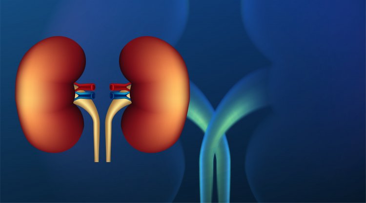 ALL YOU NEED TO KNOW ABOUT HYPERTENSION & CHRONIC KIDNEY DISEASES