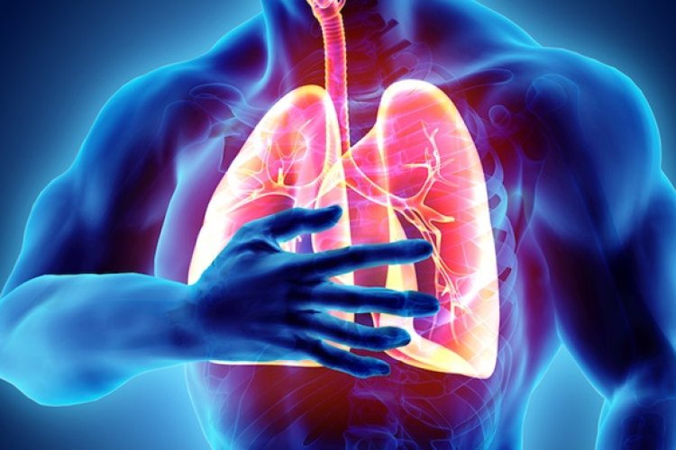 BLOOD CLOT IN THE LUNGS PULMONARY EMBOLISM Welthi Healthcare Tips