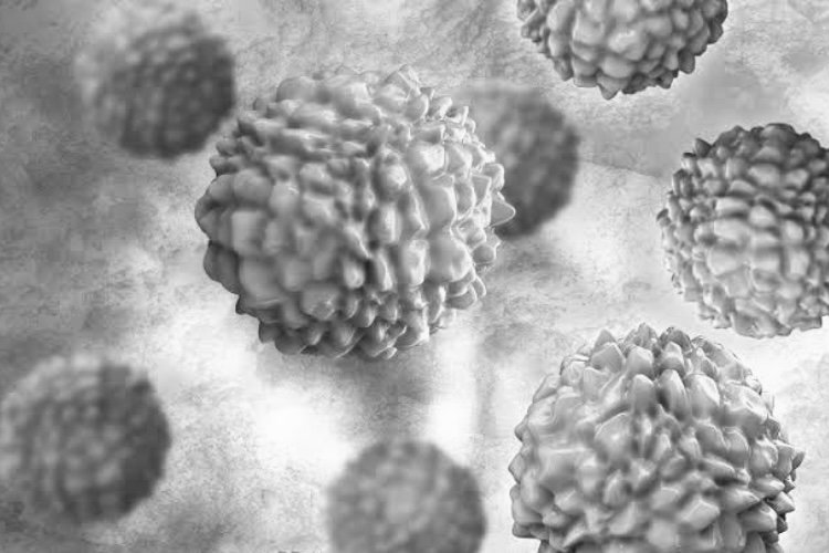 Advisory on Norovirus