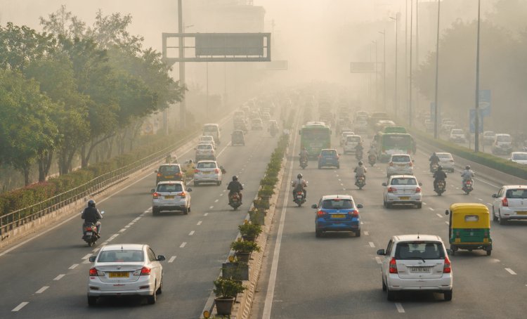 Smog and its hazardous effects