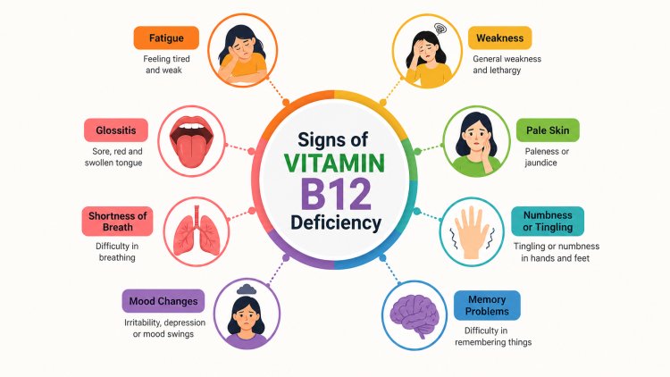 Fulfill The Need of Vitamin B12