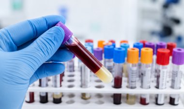 Accurate Identification Is Crucial To Effective Cancer Treatment