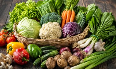 Healthy meals for body energy