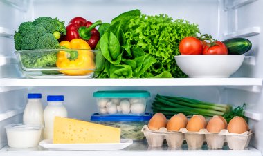 Useful Tips to store food in refrigerators