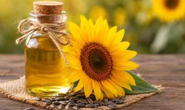 Omega 3 Helpful in Preventing Type 2 Diabetes
