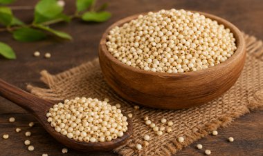 Jowar chakli is nutritionally beneficial
