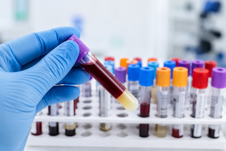 Accurate Identification Is Crucial To Effective Cancer Treatment