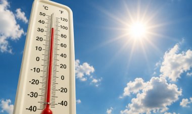 PROTECT YOURSELF FROM THE PERILS OF SUMMER
