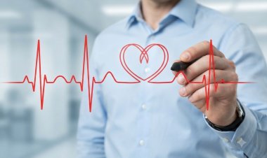 Cardiologists Are Crucial To Chronic Kidney Disease Treatment