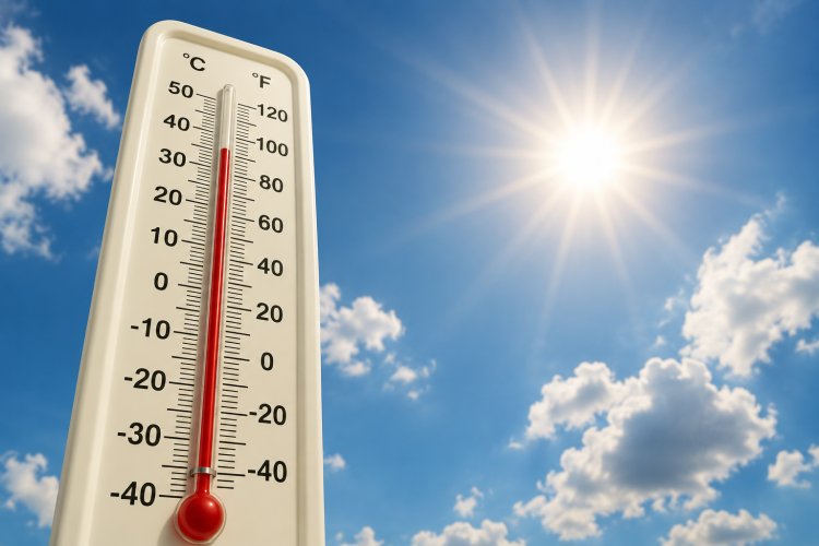 PROTECT YOURSELF FROM THE PERILS OF SUMMER