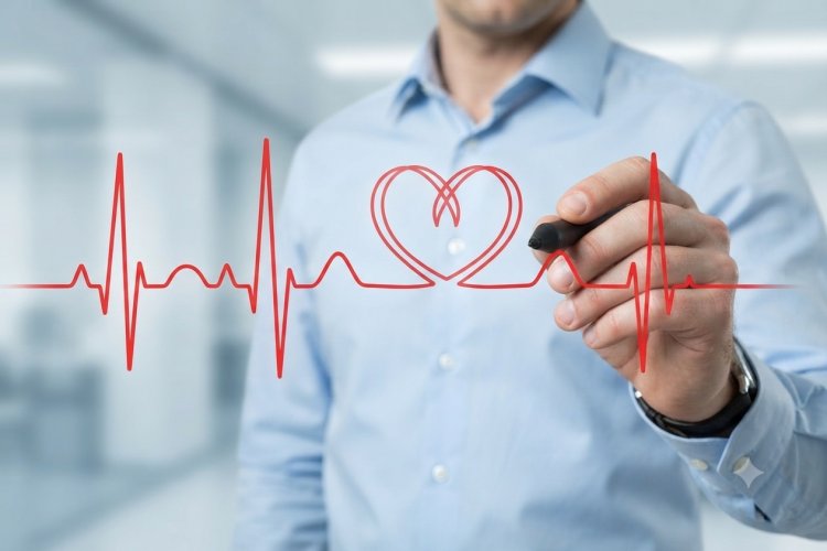 Cardiologists Are Crucial To Chronic Kidney Disease Treatment